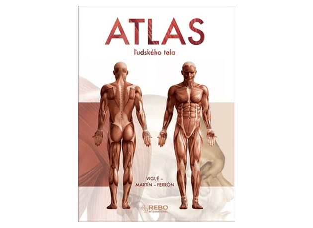 Atlas ľudského tela #15812