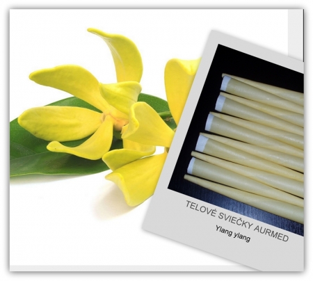 Telové sviečky ylang ylang 5ks #14882